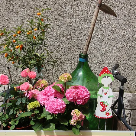 Hotel La Fontana Bagnoli della Rosandra