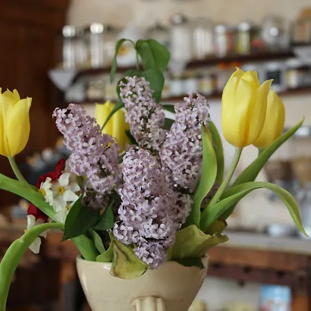 La Fontana 3* Bagnoli della Rosandra